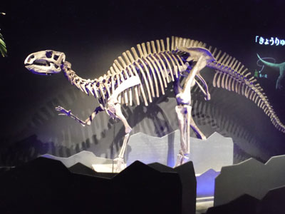 DSCF3588.jpg