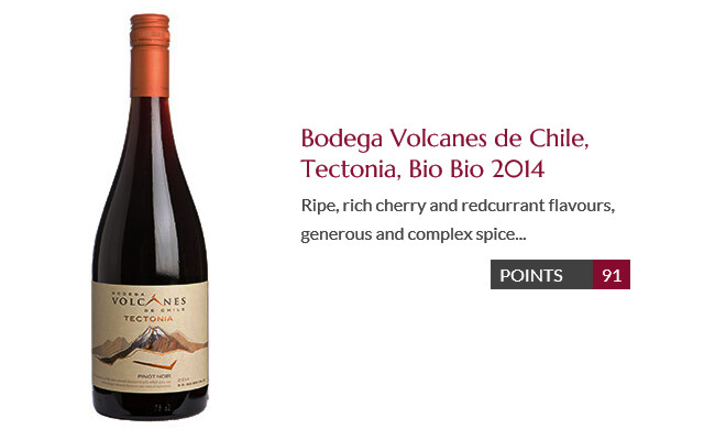 Bodega Volcanes Tectonia Bio Bio 2014 DC91p.jpg