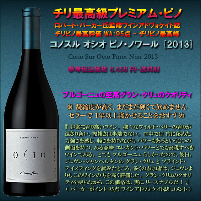 CONO SUR OCIO PINOT NOIR 2013.jpg