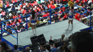 実はこれが近かった