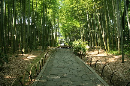 竹林の小径