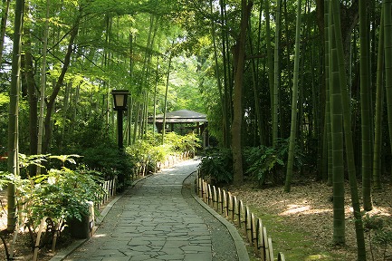 竹林の小径