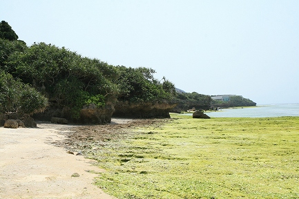 海岸線