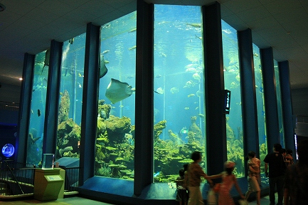 海洋水槽