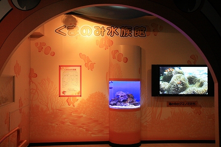 くまのみ水族館
