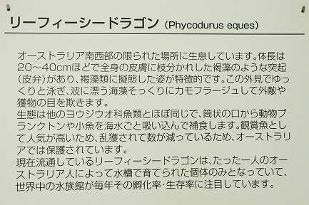 掲示板