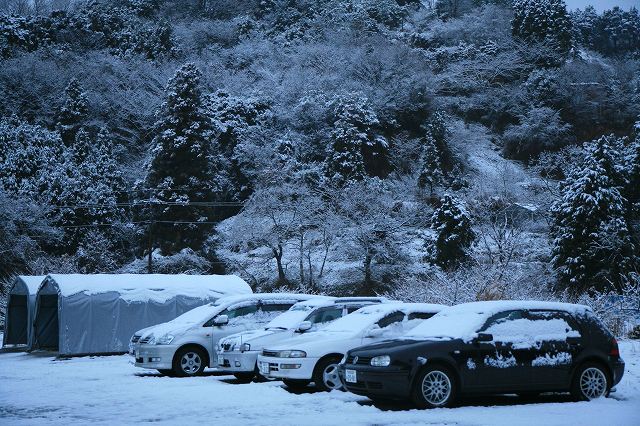 初雪-1