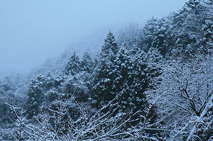 初雪-2