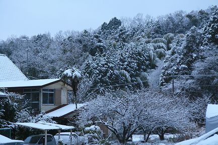 初雪-5