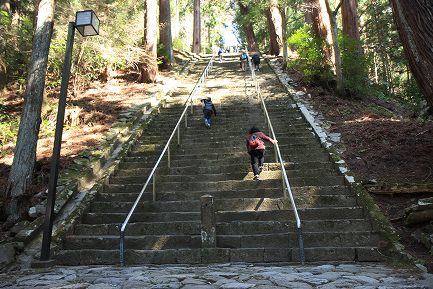 菩提梯-2