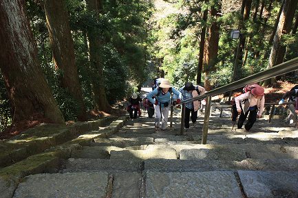 菩提梯-3