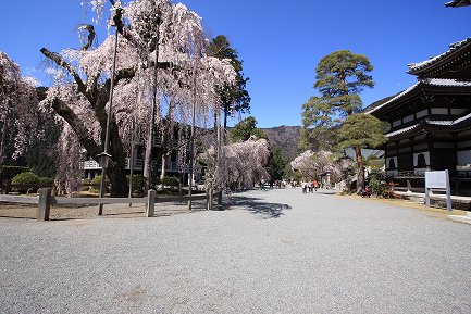 身延山・久遠寺-6
