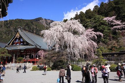 身延山・久遠寺-5