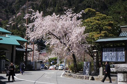 身延山下り-2