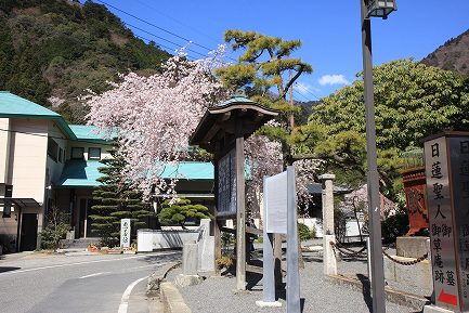 身延山下り-3