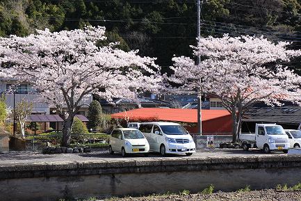 JR身延線からの風景-1