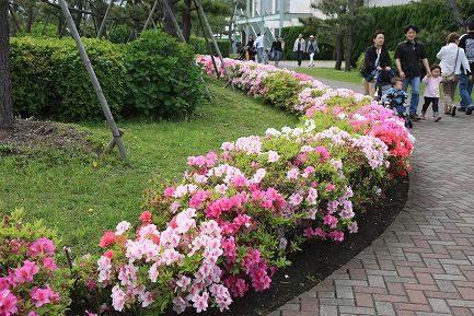 横浜・八景島シーパラダイス-5