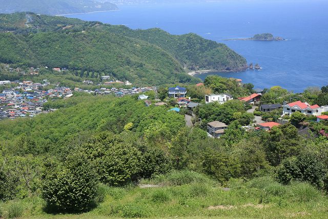 山頂からの風景