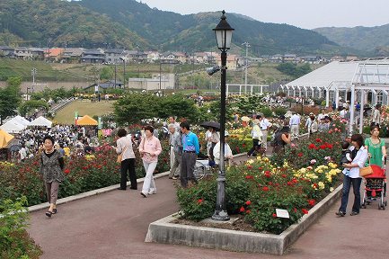 ばらの丘公園-3