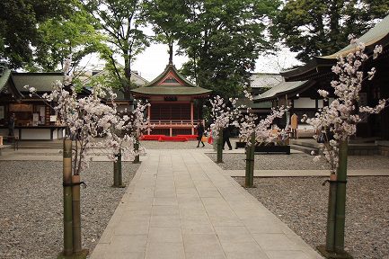 氷川神社-3