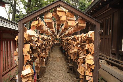 氷川神社-11