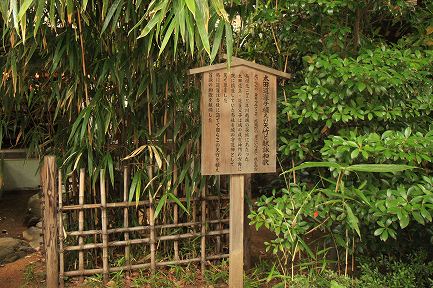 氷川神社-4