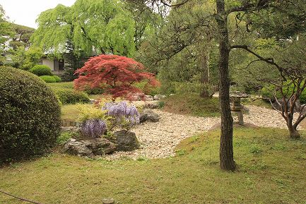 中院-7