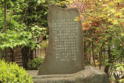 中院-5
