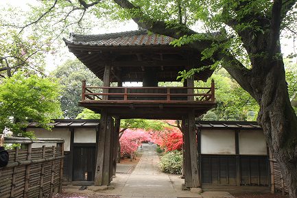 中院-5