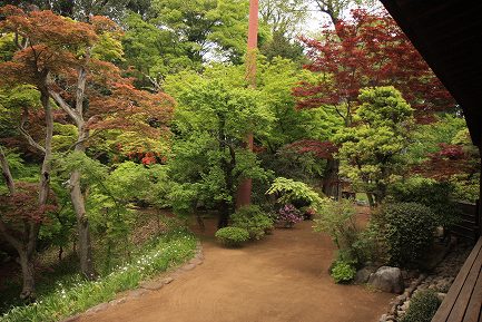 喜多院・庭園-9