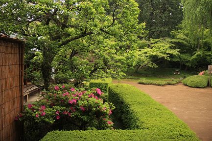 喜多院・庭園-5