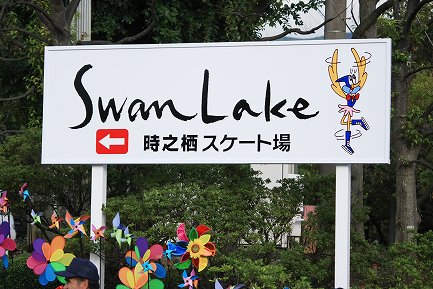 Swan Lake-1
