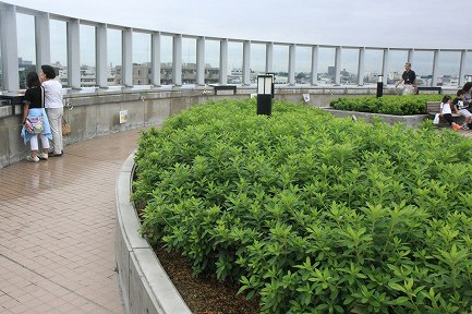 鉄道博物館-3
