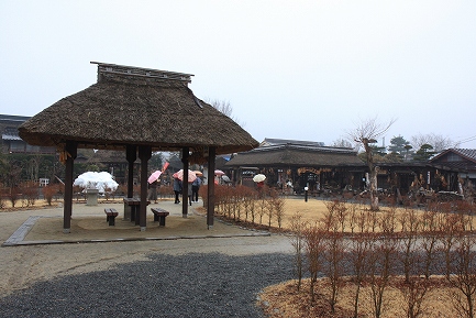 忍野八海-5
