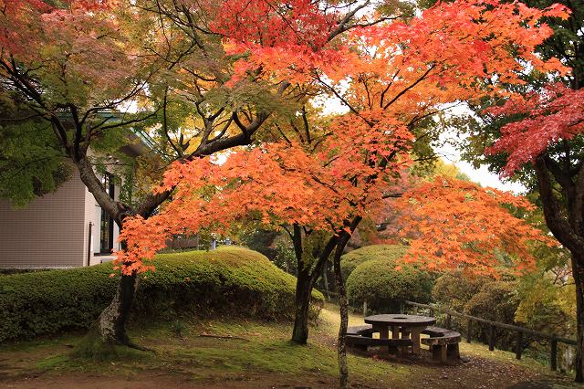 佐野・城山公園