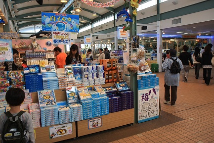 シーパラダイス-8