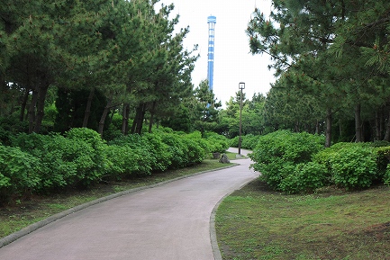 丘の広場-3