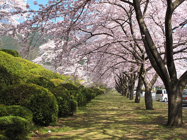 冨士霊園-1