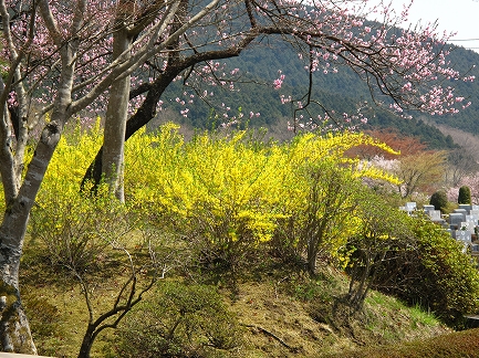 冨士霊園-6