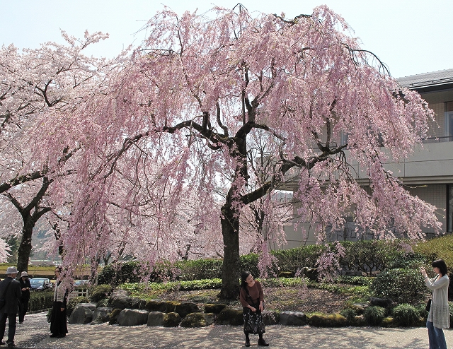 冨士霊園-9