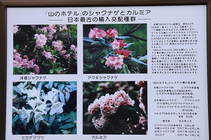 山のホテル-2
