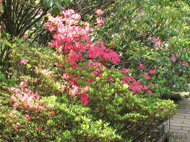 山のホテル-15