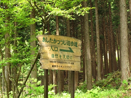 アシタカツツジ-4