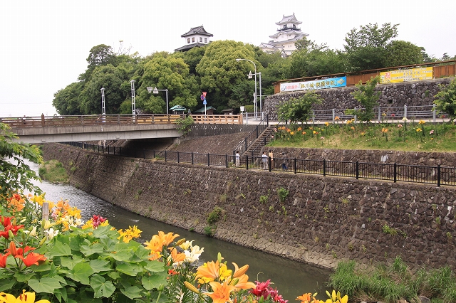 逆川のユリ-1
