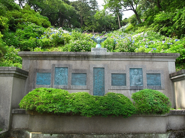 下田あじさい園-9