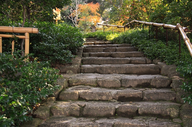 徳川園-4