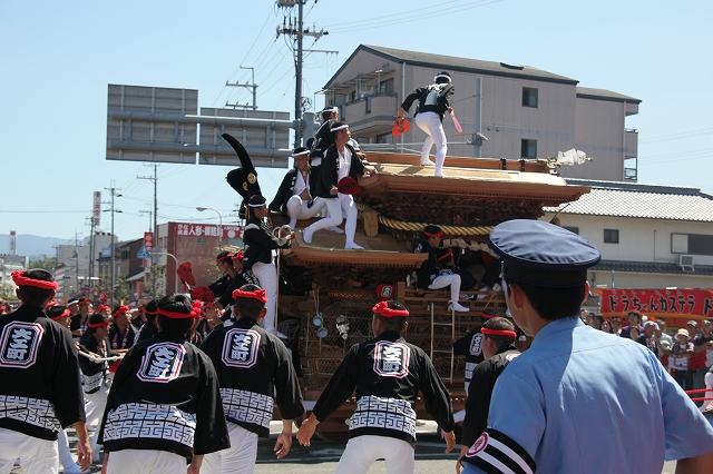 だんじり祭-11