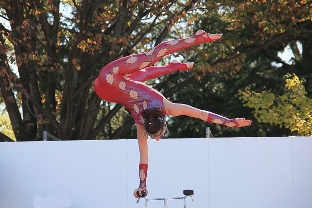 大道芸2009-7