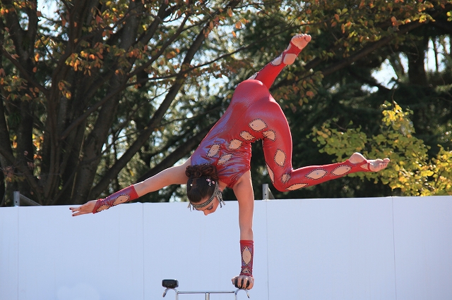 大道芸2009-8