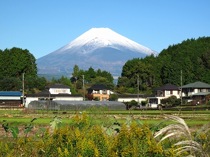 きれいな富士山